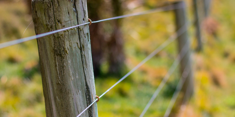 wire fence for farm