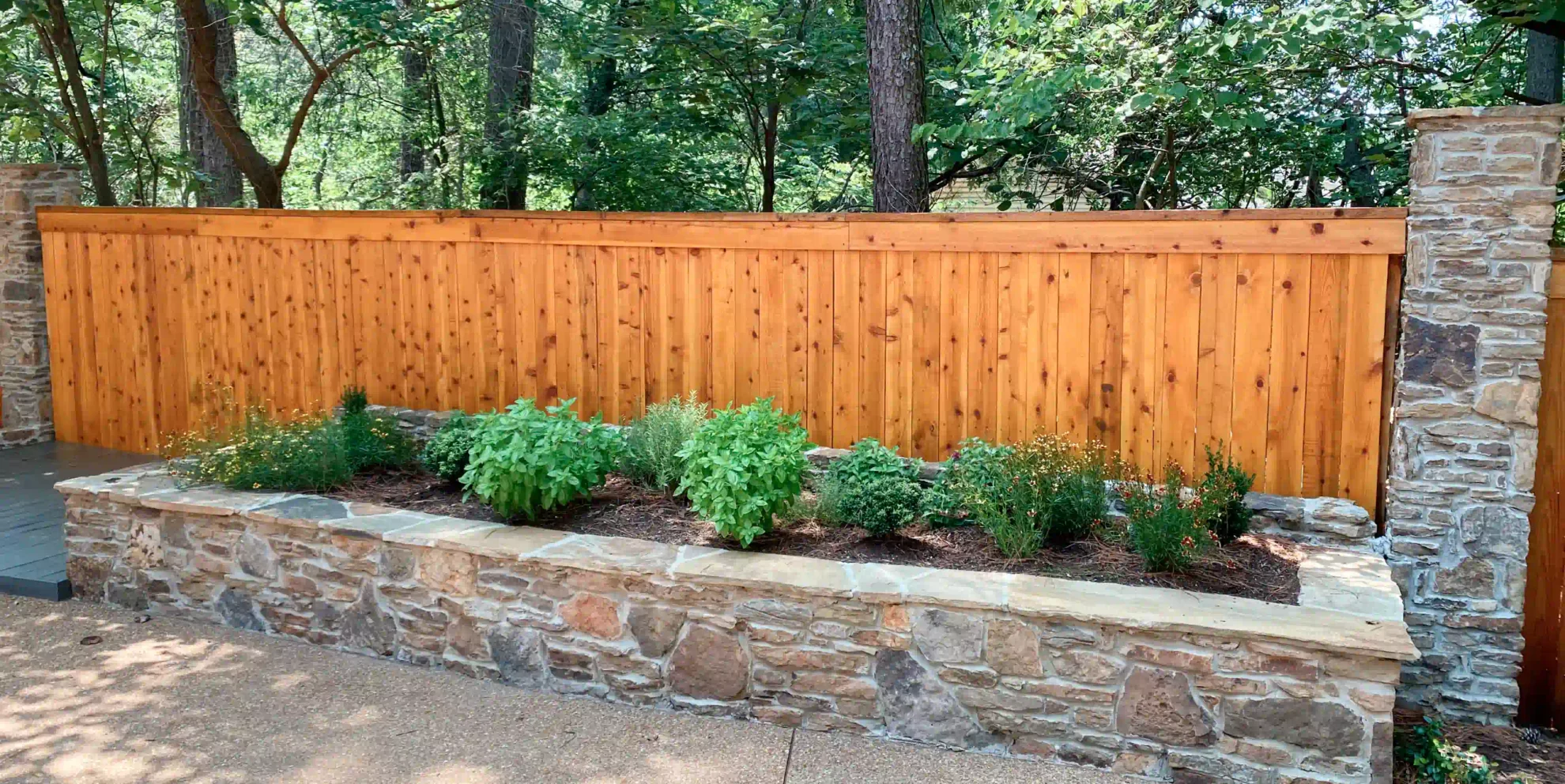 wood fence with plants and trees